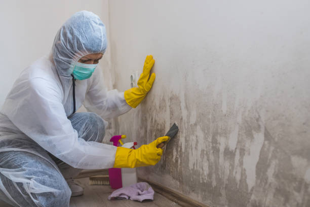 Best Mold Testing  in Tahoe Vista, CA
