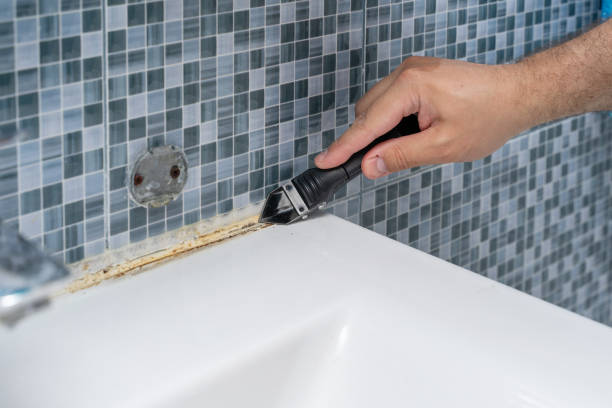 Best Attic Mold Removal  in Tahoe Vista, CA