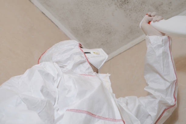Best Mold Testing  in Tahoe Vista, CA
